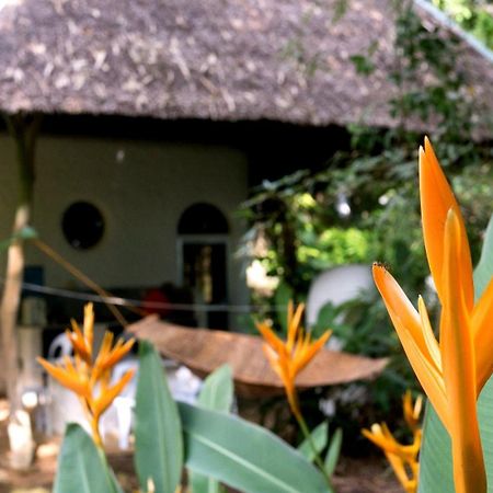 Kim'S Garden Villa Anda  Dış mekan fotoğraf
