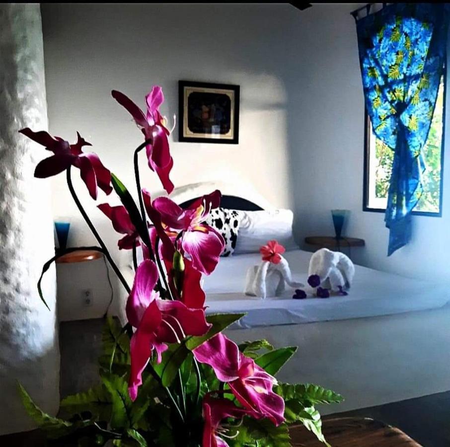 Kim'S Garden Villa Anda  Dış mekan fotoğraf