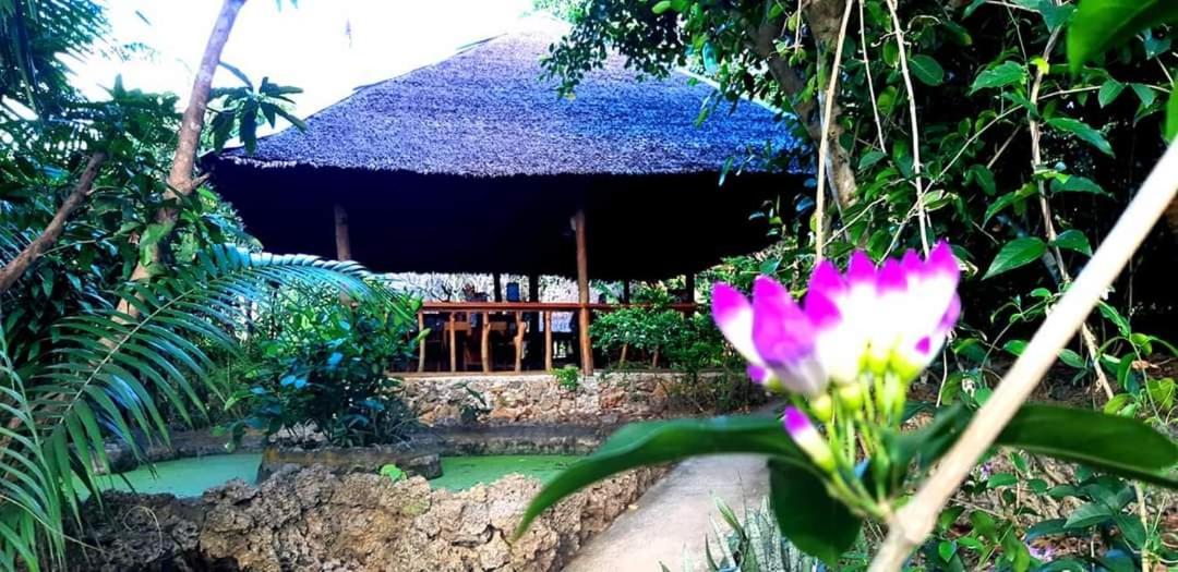 Kim'S Garden Villa Anda  Dış mekan fotoğraf