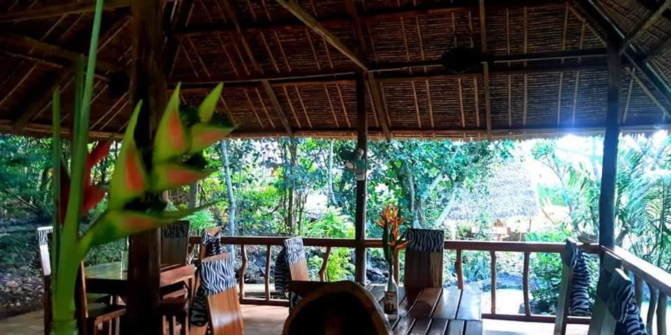 Kim'S Garden Villa Anda  Dış mekan fotoğraf