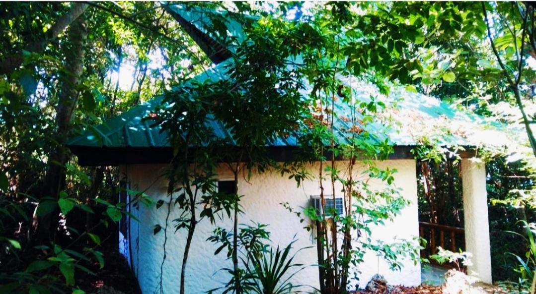 Kim'S Garden Villa Anda  Dış mekan fotoğraf