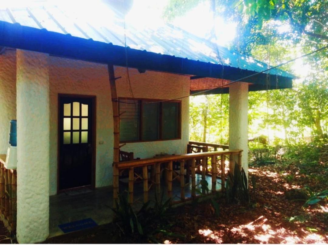 Kim'S Garden Villa Anda  Dış mekan fotoğraf