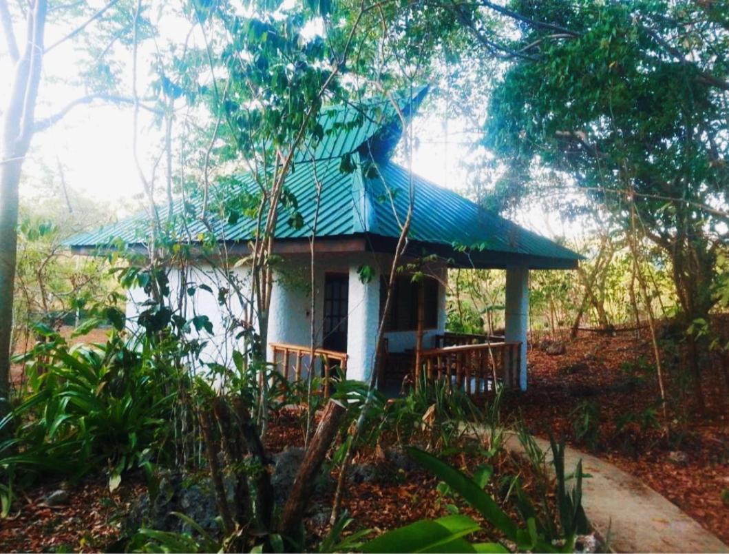 Kim'S Garden Villa Anda  Dış mekan fotoğraf