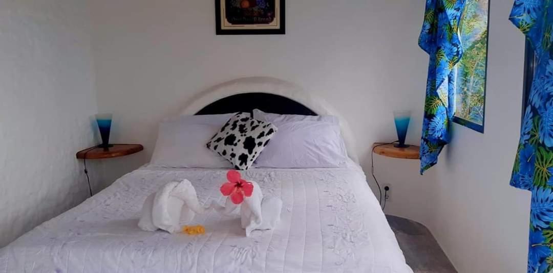 Kim'S Garden Villa Anda  Dış mekan fotoğraf