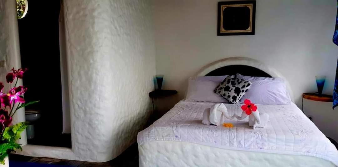 Kim'S Garden Villa Anda  Dış mekan fotoğraf