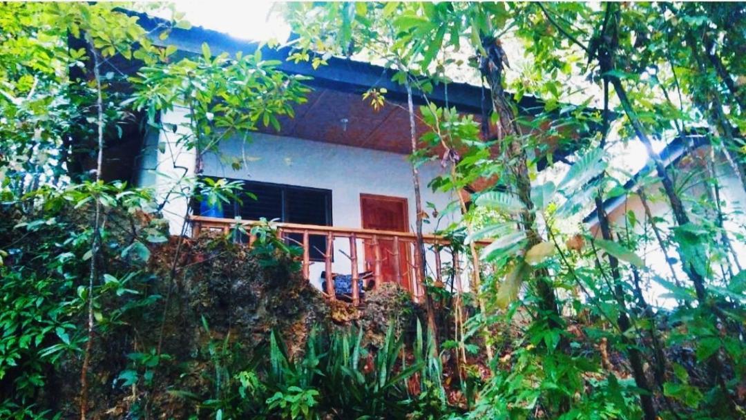 Kim'S Garden Villa Anda  Dış mekan fotoğraf