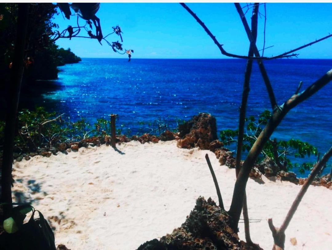 Kim'S Garden Villa Anda  Dış mekan fotoğraf