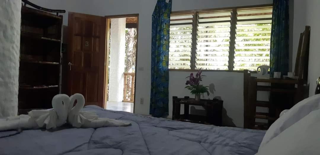 Kim'S Garden Villa Anda  Dış mekan fotoğraf