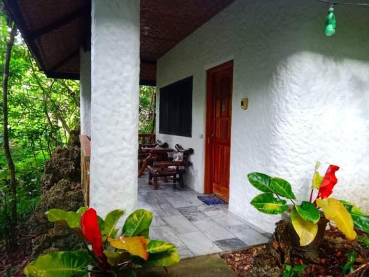 Kim'S Garden Villa Anda  Dış mekan fotoğraf