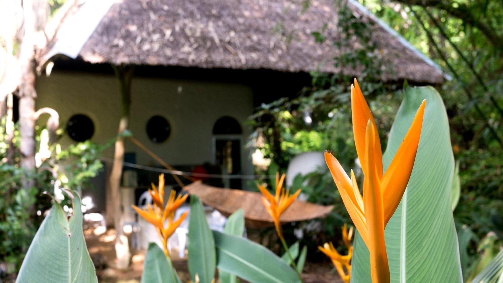 Kim'S Garden Villa Anda  Dış mekan fotoğraf