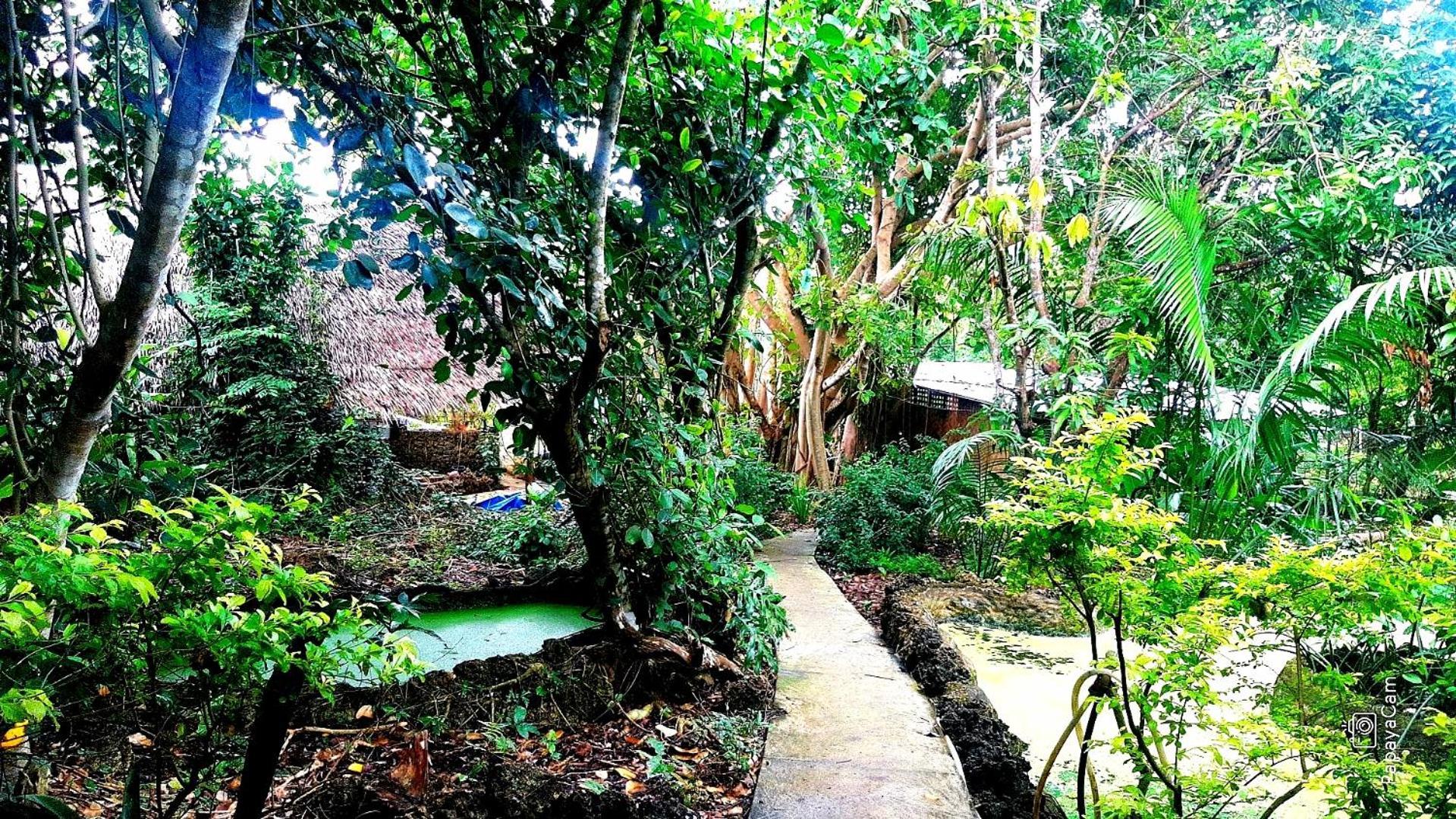 Kim'S Garden Villa Anda  Dış mekan fotoğraf