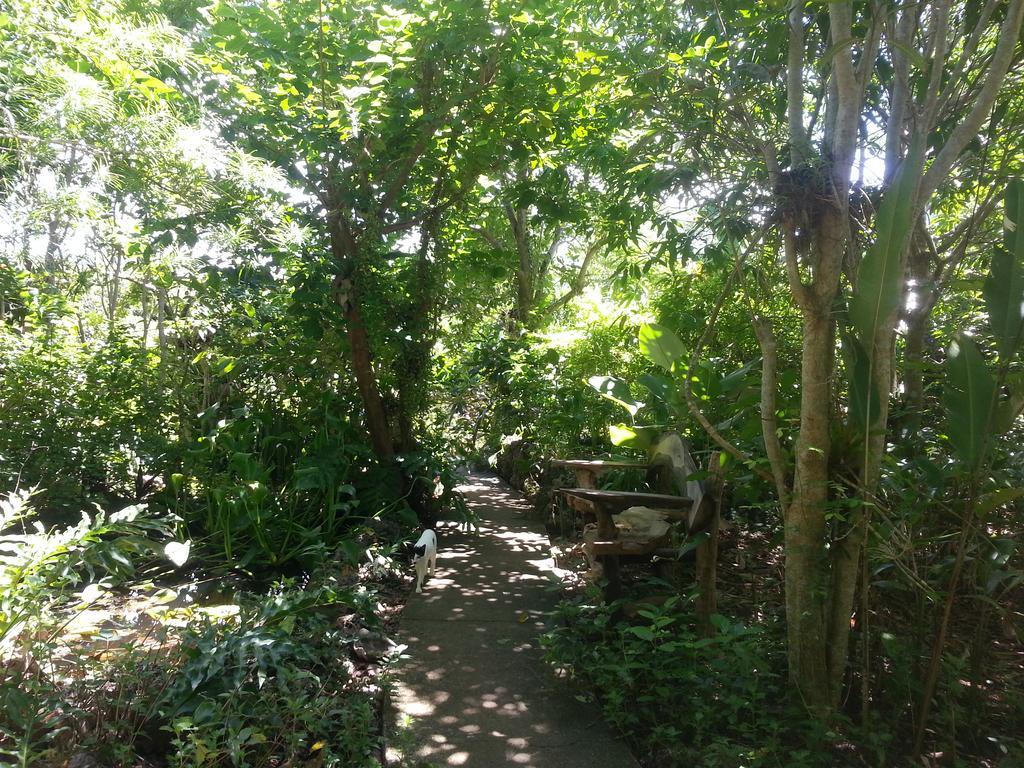 Kim'S Garden Villa Anda  Dış mekan fotoğraf