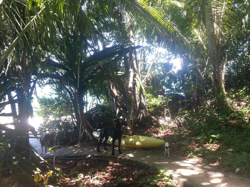 Kim'S Garden Villa Anda  Dış mekan fotoğraf