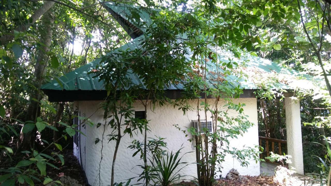 Kim'S Garden Villa Anda  Dış mekan fotoğraf